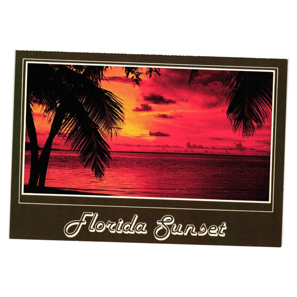 Vintage Florida Sunset Postcard Tropical Palm Trees Vacation Night Light Beach